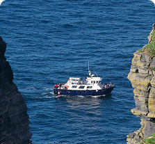 Tourists on a boat at sea enjoying an Irish day tour.